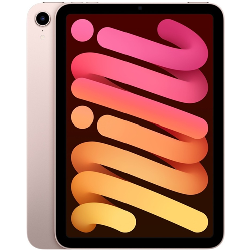 Apple iPad mini 2021 8.3 64Gb Wi-Fi розовый 1-satelonline.kz
