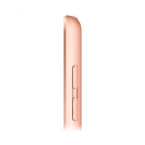 Apple iPad 2020 10.2 128Gb Wi-Fi + Cellular MYMN2 Gold 5