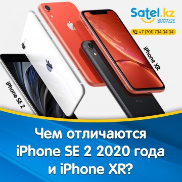  Что выбрать iPhone XR или iPhone SE 2?